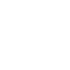 PWC logo in white
